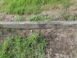 image of grave number 684604